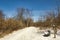 Bench and Birch trees along trail passing through Winter landscape