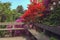 Bench with blooming colorful rhododendrons