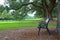 Bench in Boone Hall Plantation, Charleston