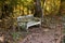 bench chair forest pictures