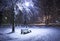 Bench, christmastree and lantern