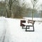 Bench in the city park