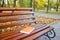 A bench in City park, Golden hour. Autumn: old book on the bench