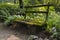 Bench covered with moss