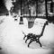 Bench, covered with snow, the city