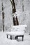 Bench covered with snow in the city park in winter