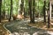 Bench in a deserted Park. Paved path. Summer Park of Central Russia