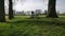 Bench in a Field