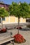 Bench, flowers and lemon tree on Garda lake, Gargnano, Italy