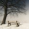 Bench, foggy winter day 151