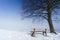 Bench, foggy winter day