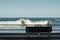 Bench in front of the sea, with big waves