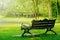 Bench in garden in sunny day nobody resting and refreshing