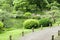 Bench, green plants, stone road and lake in garden