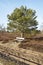 Bench into heathland in spring