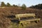 Bench into heathland in spring