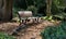 Bench in a hidden spot at the Auckland Botanical Gardens, New Zealand