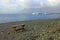 Bench by Jokulsarlon glaciar lake