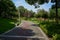 Bench on lawn by curbing painted path in sunny summer afternoon