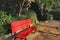 Bench in a Leafy and green garden in Porto