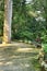 Bench in a Leafy and green garden in Sintra