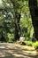 Bench in a Leafy and green garden in Sintra