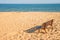 Bench on a lonesome beach of the Baltic Sea