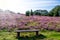 Bench Lueneburg Heath