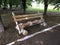 Bench made of birch