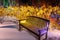 A bench in a magical winter garden in the snow with a fabulous illumination of plants around with magical lights and garlands.