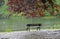 A bench with a magnificent view of the pond. Nymphenburg palace, Munich, Germany