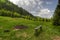 Bench in a meadow