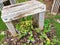 A bench for one decorated with Ageratum flowers