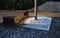 A bench of one piece of sheet metal in a regular garden with a stone walkway of gray flat slate. low wall with gray recessed light