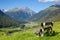 Bench overlooking Engadin Valley in Swiss Alps