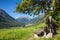 Bench overlooking Engadin Valley in Swiss Alps