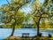 Bench overlooking a lake between two large trees