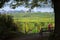 Bench overlooking vineyards above the Rhine