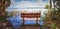 Bench overlooks the flooded swamp of Myakka River State Park