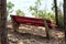 Bench in the park overlooking the sea