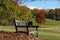 Bench in Park Setting Virginia Autumn Suburbs