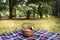 A bench in a park. wicker picnic basket blanket park