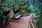 Bench on Path, Snoqualmie Forest