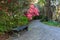 Bench and Pathway Through Azalea Garden SC