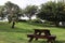 A bench and a picnic table at t edith wolfson park located in tel aviv israel between green landscape