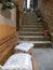 BENCH WITH PILLOWS AND STAIRS IN A STREET IN ROVINJ, CROATIA