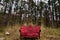 A bench among the pines at irvine Park chippewa falls wisconsin