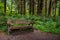 Bench Providing Rest in the Forest