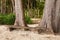 Bench at Radhanagar Beach