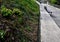 Bench at a retaining wall in a park of black bushes early spring perennials on a high flowerbed path of granite cubes